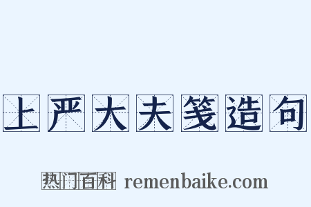 上严大夫笺造句是什么意思的图片